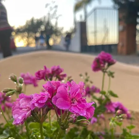 דירה El Atardecer - Sol *