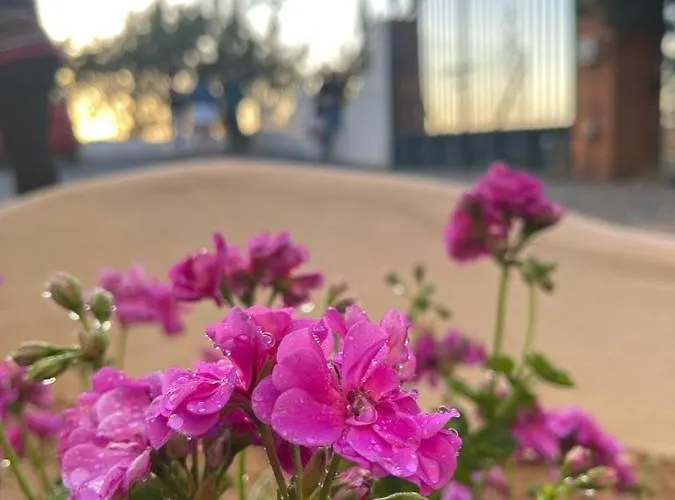 דירה El Atardecer - Sol *